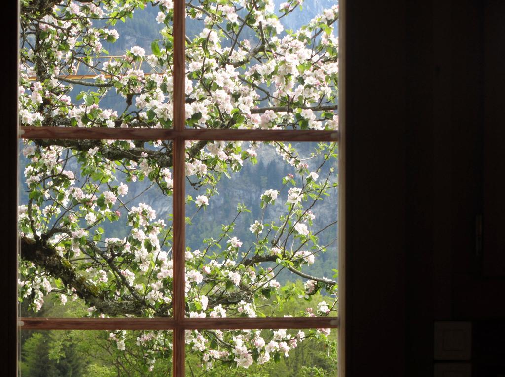 Pension Staldacher Hasliberg Room photo